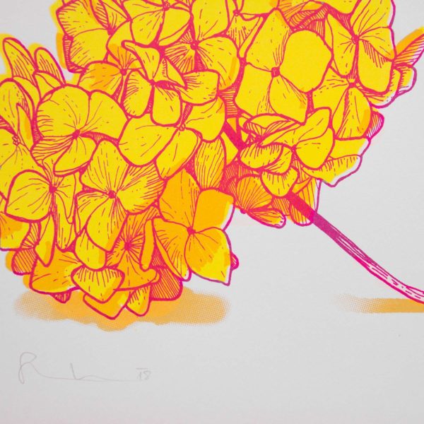 Detailphoto des A2 Siebdrucks Hortensie in gelb/pink